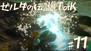 【ゼルダの伝説 ティアーズオブザキングダム】ドロドロ掃除じゃ　【1１】