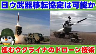 【ペンギン閣下】日本とウクライナ、武器移転協定の行方は【国際情勢】