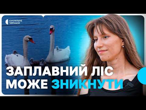 Як забудова дніпровського узбережжя у Черкасах загрожує рослинам та тваринам