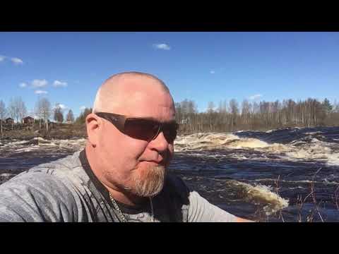 Tornionjoki (Matkakoski) kevät 2020.