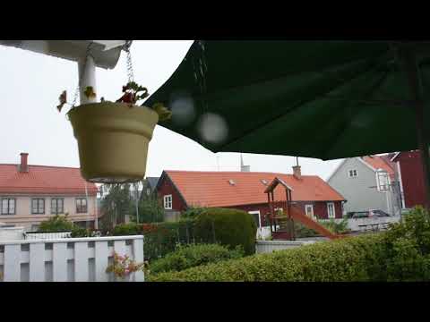 Pang bom!  Äntligen regn! åska med Knall vilken jäv... Smäll! åskväder i den underbara sommaren