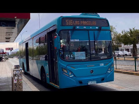 Red | Trip Caio Mondego II - Mercedes-Benz OC500 LE - Route 516 (ft @TransportMartin19)