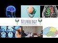 Physician Sub Specialty Series Neurology L The Wits Students Physician Society