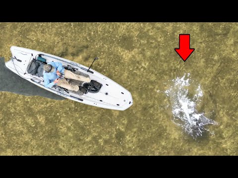 Drone Fishing for Flathead… Then THIS Happened!!