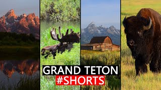 Grand Teton National Park #Shorts
