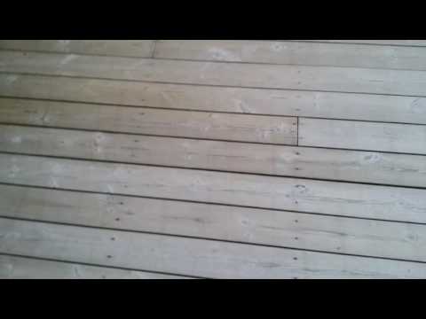 Sioo Träskydd och Ytskydd: Resultat efter 80 dagar (2016-08-24)