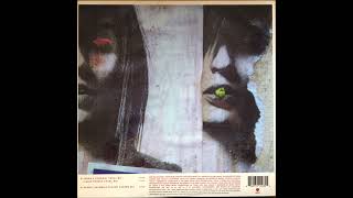 Punk Chic - DJ Spinnin' (Liquid People Vocal Mix)