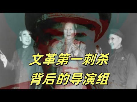 文化大革命139，谁是杀死谭甫仁的幕后黑手？水平堪比漩涡鸣人的杀手王自正，专案组长周兴是老特务，副组长蔡顺礼是锄奸队出身，谭案和苏联基洛夫案，谁最后叫停了大清洗的预演？#中共#文化大革命#文革