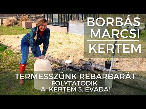 , title : 'Borbás Marcsi: Kertem -  Termesszünk rebarbarát!'