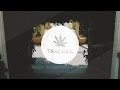 holy rain - Legend 