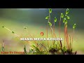 30 Sec WhatsApp Status Video Afreen Afreen Status Song Rahat Fateh Ali Khan