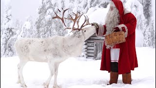Message du Père Noël en Laponie aux enfants 😍🦌🎅 petit Papa Noel & rennes pour les familles