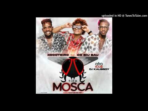 Teame Xocoteiro – Tipo Mosca (feat. Os Biu Bau & Dj Kalisboy)