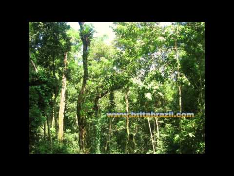 American In Brasil: Brita Brazil & Rian Brito