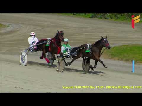 Prova di riqualifica 5 Anni ed oltre - Metri 1600