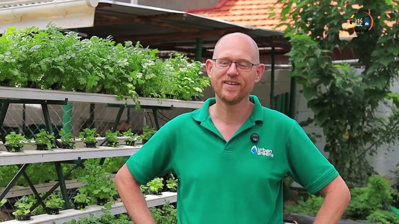 Urban Greens (NUTIP Orange Crane Awards) Sustainability & Innovation Award Nominee 2025