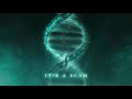 Disturbed - Watch You Burn (Lyric Video)
