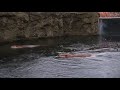 Detroit Zoo Short Film Project