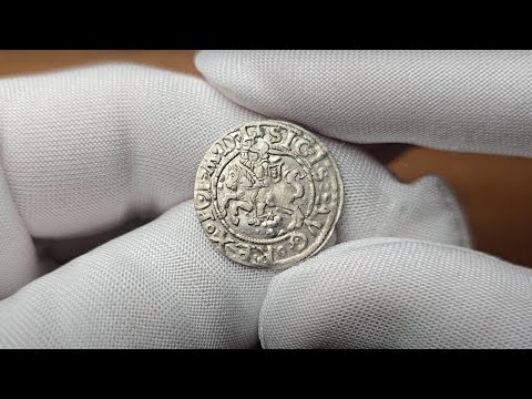 Zygmunt II August. Półgrosz BEZ DATY Wilno - RZADKOŚĆ R8 | Wiosenna Aukcja 48