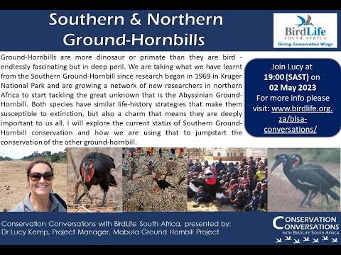 Conservation Conversations: Dr Lucy Kemp -Southern & Northern Ground-Hornbills (2May23)