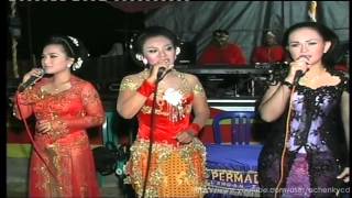 Download lagu Campursari Dinasty Live Show   Sholawat ilir  ilir mp3
