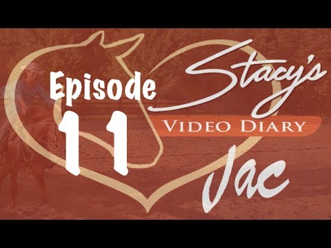 Stacy's Video Diary: Jac- Episode 11-lunging, teaching lope cue, teaching voice cues