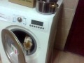 Cat In Washing Machine
