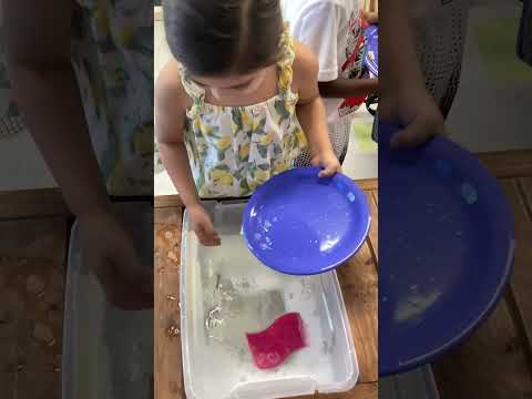 Preschooler Washing Dishes