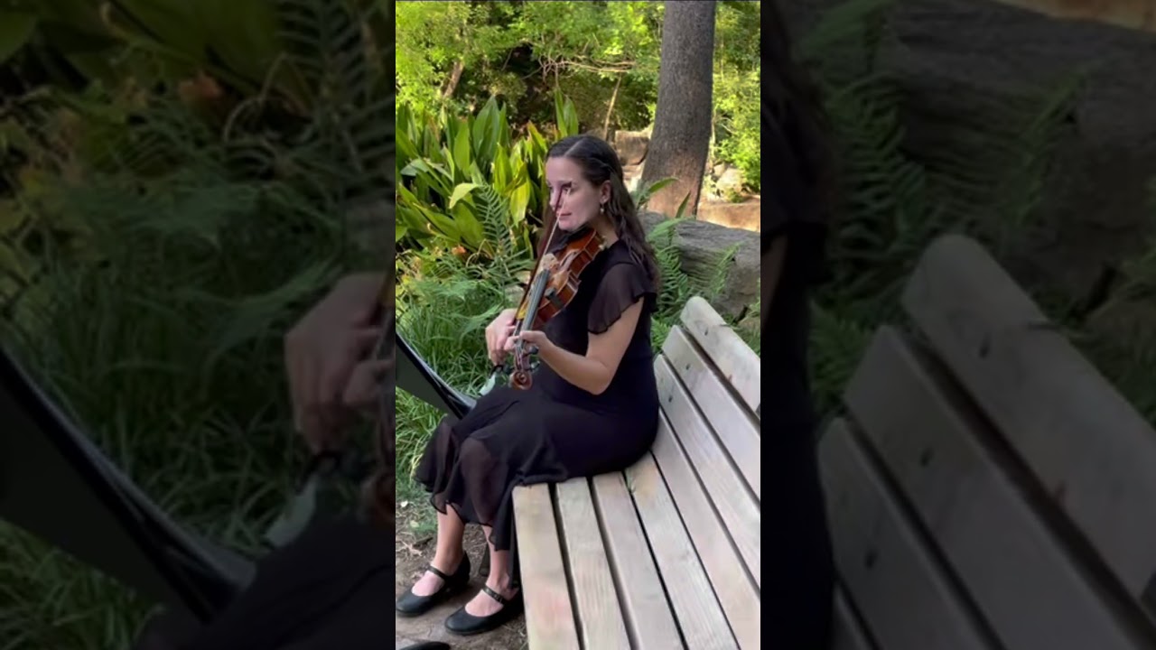 Promotional video thumbnail 4 for Ashley Stevens Music