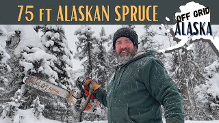 Alaska Cabin Life - How we bring down trees to keep the cabin warm