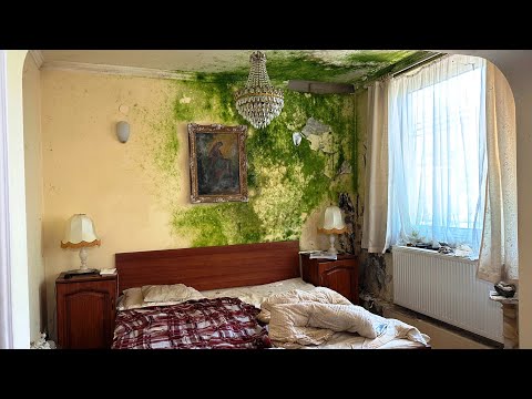 A "Rohadás" VILLA🤢😱 - MINDENT HÁTRAHAGYVA 19.