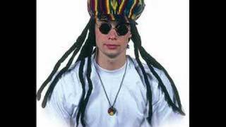 Skankin Pickle- Fakin Jamaican