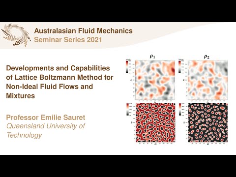 AFMS Webinar 2021 #22 - Professor Emilie Sauret (Queensland University of Technology)