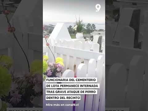 Funcionaria del Cementerio de Lota permanece internada tras grave ataque de perro dentro del recinto