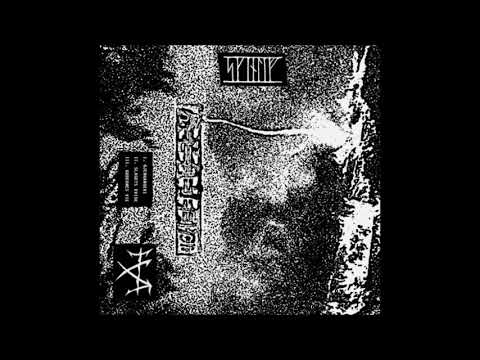 SKINLIV - Slagets kvide