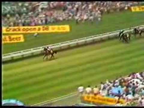 1987 Auckland Cup - KOTARE CHIEF