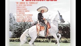 Vicente Fernández, Mi Amigo el Tordillo
