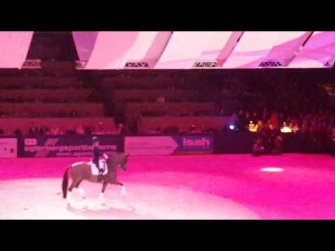 Valegro's farewell freestyle at the KWPN stallion show 2017 (part 1)
