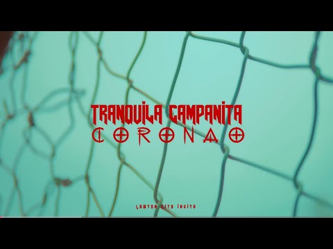 Shark’s Music Company and 2 more