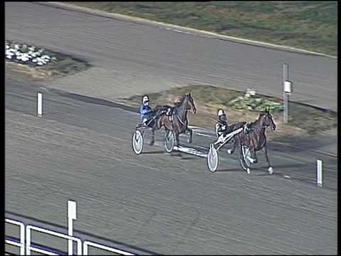 Trotto 03/01/2017 - prova di riqualifica