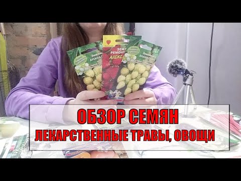 ОБЗОР СЕМЯН лекарственных и пряных трав и овощей. Жена дальнобойщика.