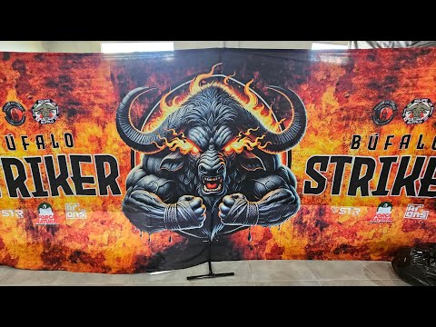 Búfalo Striker 2