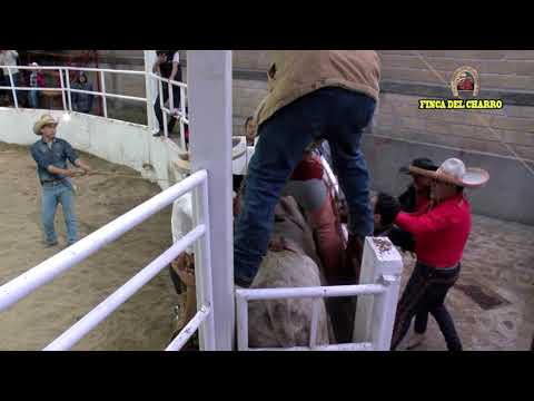 #jaripeocharro #charros #charrerìa