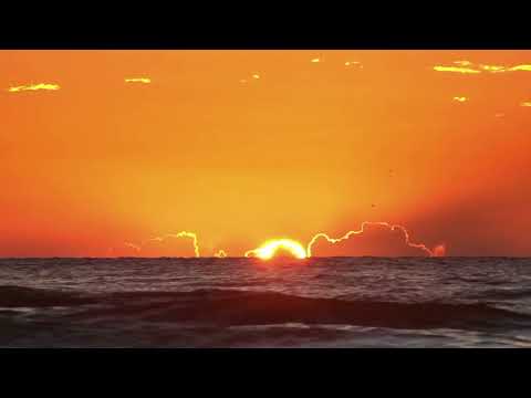 Ocelote Rojo - Golden Shower (Official video prod. by Ryrex Production)