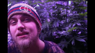 Blowin&#39; Smoke - Andy Savage &amp; Fvncii (Official Music Video) Prod. Urban Nerd