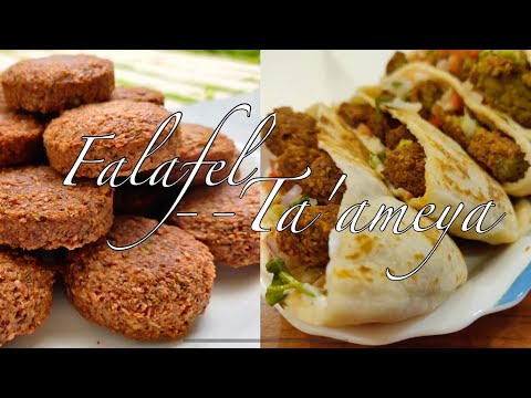 Ta'ameya or Falafel || Perfect Turkish Falafel 👌👌