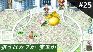 ＜トゥルーヘル縛り実況＞ルーンファクトリー4SP　第２５話