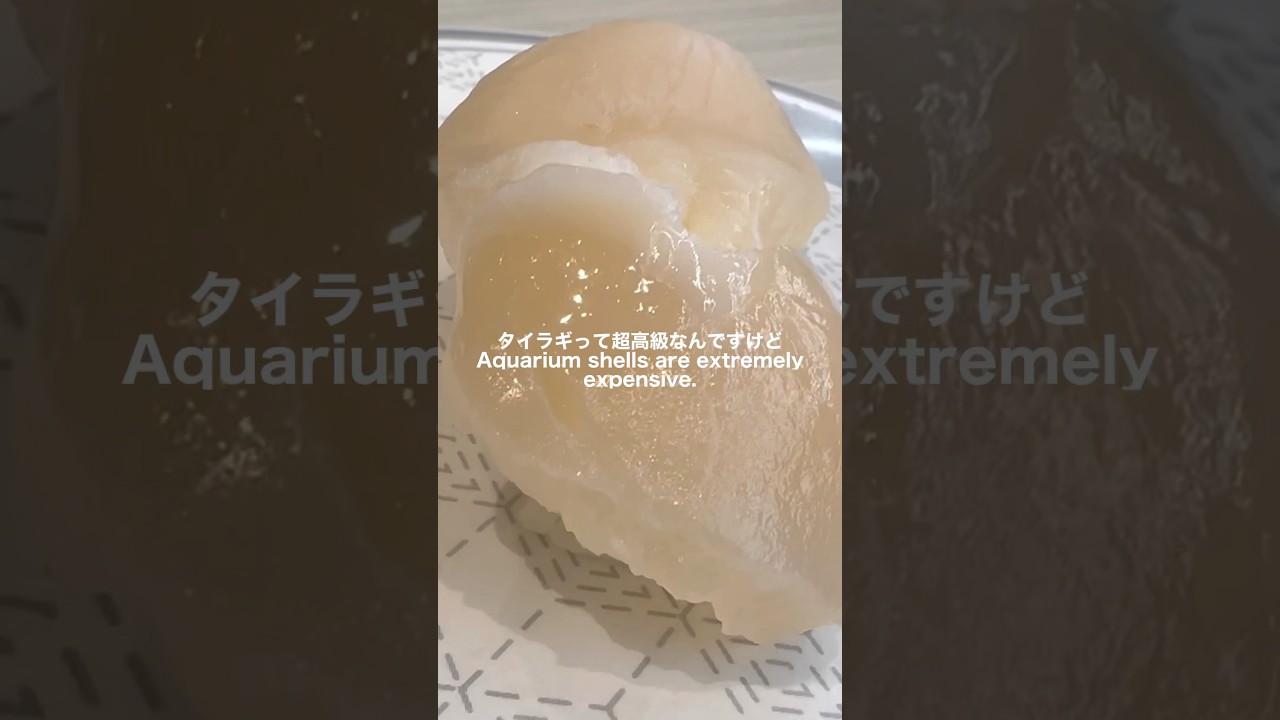 はま寿司行く前に見て😱 Pro Tips: Best Sushi at Hama-Sushi