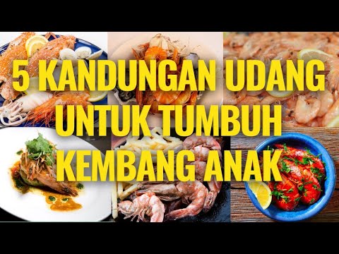 , title : '🔥 5 Kandungan Udang Untuk Tumbuh Kembang Anak | manfaat udang untuk anak'