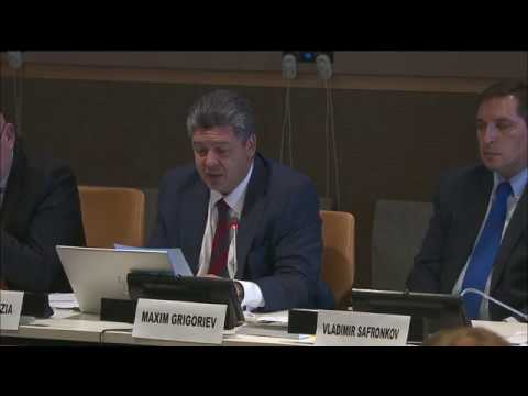 Briefing by Director of the Foundation for the Study of Democracy Mr. Maxim Grigoriev